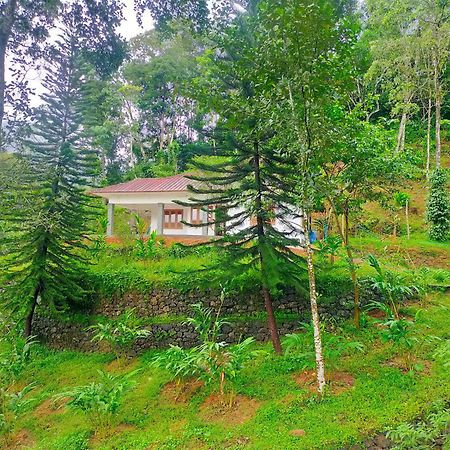 Anivilla Holiday Home Kunjithanny Anachal Exterior photo
