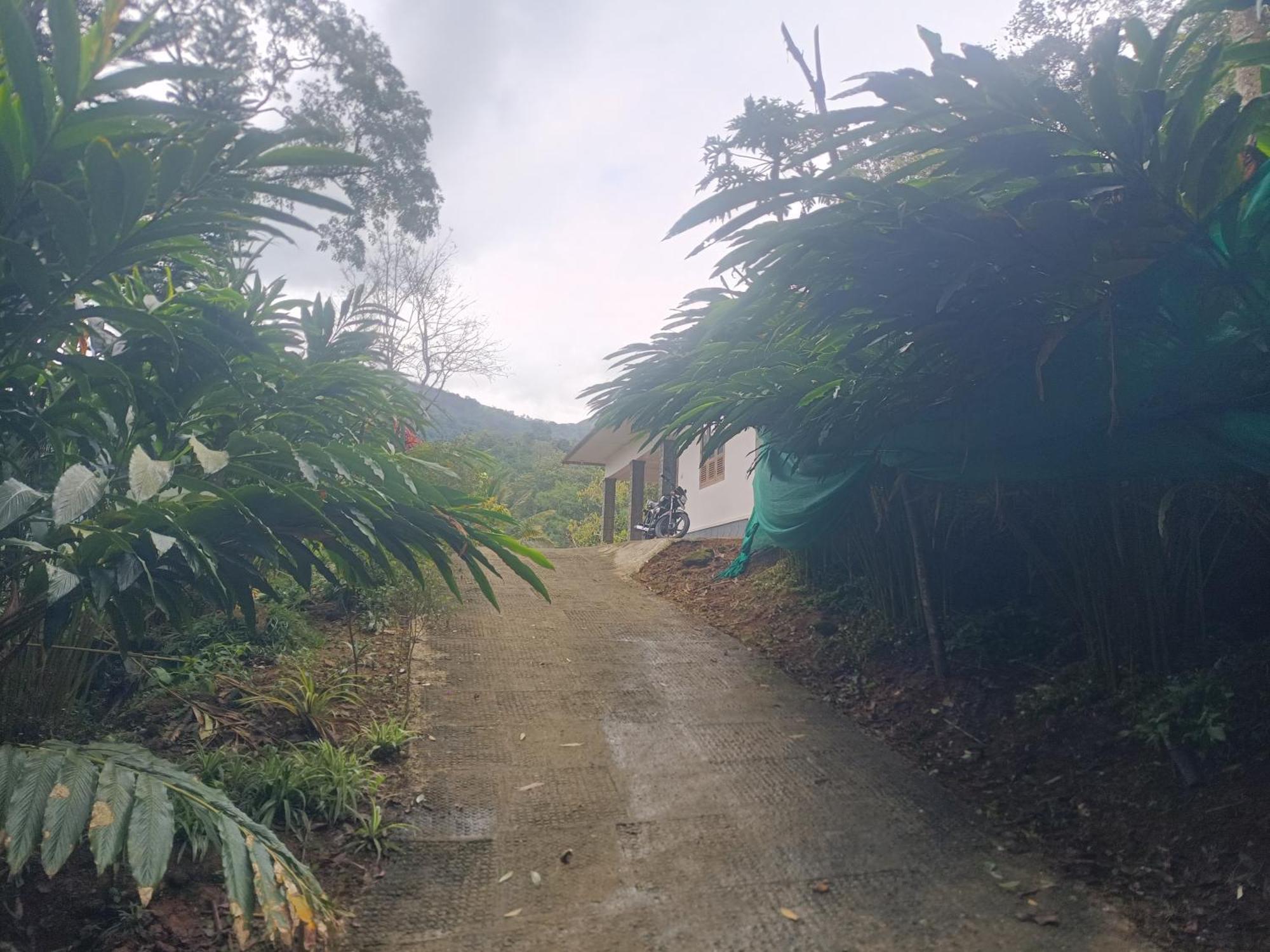 Anivilla Holiday Home Kunjithanny Anachal Exterior photo
