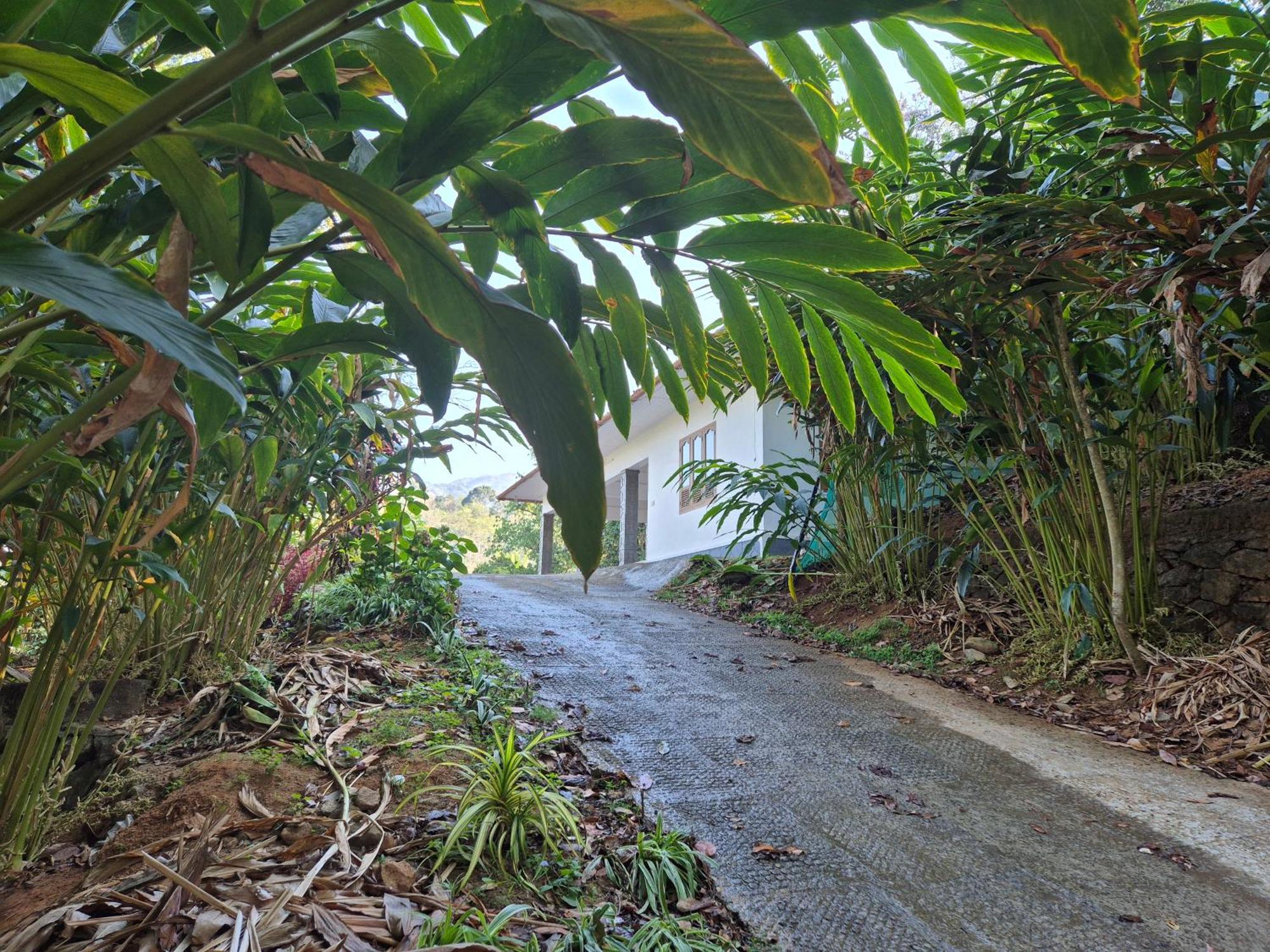 Anivilla Holiday Home Kunjithanny Anachal Exterior photo